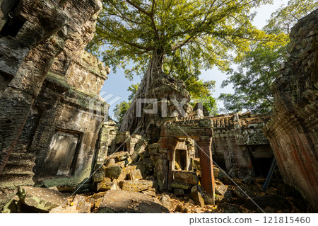 Cambodia Angkor Wat Ta Prohm Cambodia Angkor Wat Ta Prohm 121815460