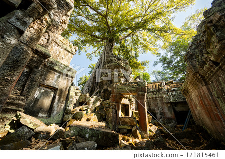 柬埔寨吳哥遺址塔普倫遺址 121815461