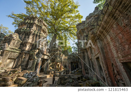 柬埔寨吳哥遺址塔普倫遺址 121815463