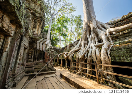 柬埔寨吳哥遺址塔普倫遺址 121815466