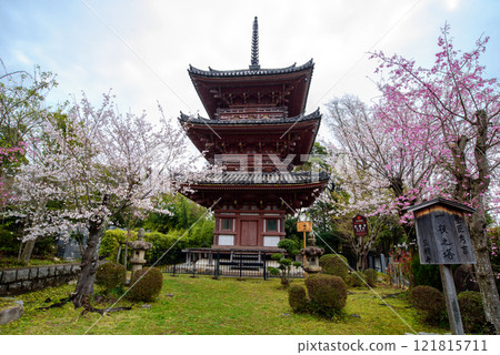 寶積寺，一座被櫻花包圍的三層寶塔 121815711