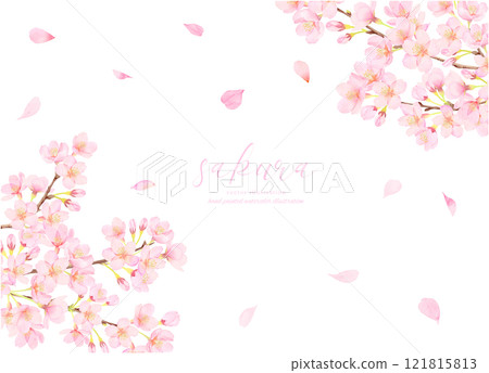 櫻花盛開的向量圖背景 121815813