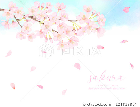 櫻花和藍天背景素材 121815814