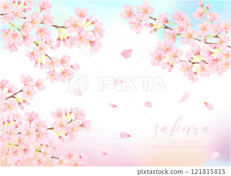 Cherry blossoms and blue sky background material 121815815