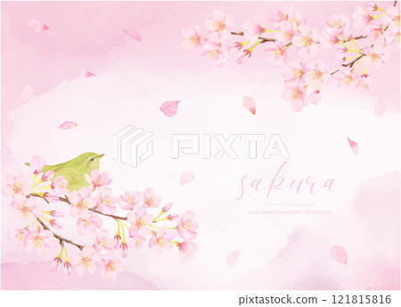 夜鶯和櫻花可愛背景插畫素材 夜鶯和櫻花可愛背景插畫素材 121815816