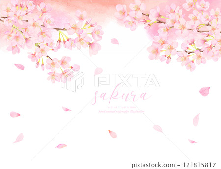 盛開的櫻花向量插畫背景素材 121815817