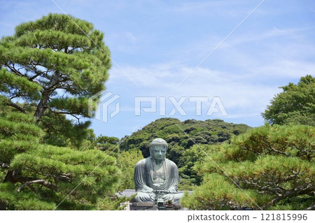 The Great Buddha of Kamakura surrounded by greenery The Great Buddha of Kamakura surrounded by greenery 121815996