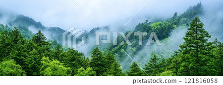 Fog and clouds on mountain. Misty landscape with fir forest. Beautiful landscape 121816058