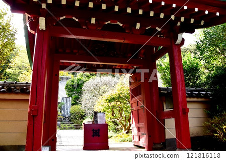 Kamakura City: Kosokuji Temple gate and grounds Kamakura City: Kosokuji Temple gate and grounds 121816118