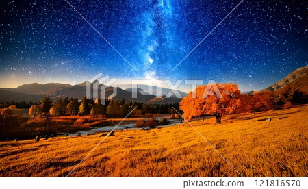 Fabulous autumn landscape with vibrant trees under a clear starry sky at night 121816570