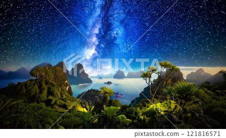 Subtropical landscape illuminated by a starry sky and the Milky Way at night 121816571