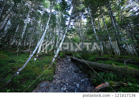 Tateshina Mountain, Nagano Prefecture Tateshina Mountain, Nagano Prefecture 121817136