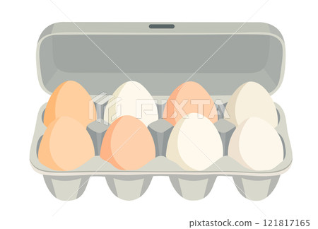 Eggs in packaging. Open egg box. Vector isolated illustration Eggs in packaging. Open egg box. Vector isolated illustration 121817165