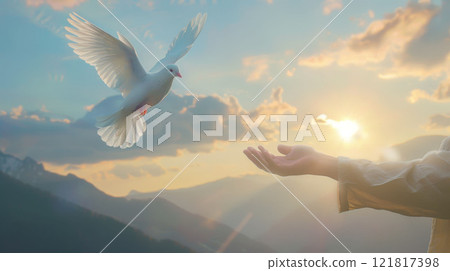Pigeon in hand. Dove and sunset, prayer human. Holy bird, hope and faith concept. Freedom and spiritual lifestyle 121817398