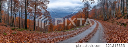 Car drive on autumn road in beautiful nature. Landscape on the highway in forest 121817833