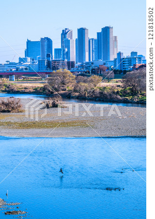Tokyo cityscape, Japan, January 9th...View of tower apartment complexes in front of Musashi-Kosugi Station in Kawasaki, Tama River, waterfowl, etc. = Reiwa 7 Tokyo cityscape, Japan, January 9th...View of tower apartment complexes in front of Musashi-Kosugi Station in Kawasaki, Tama River, waterfowl, etc. = Reiwa 7 121818502