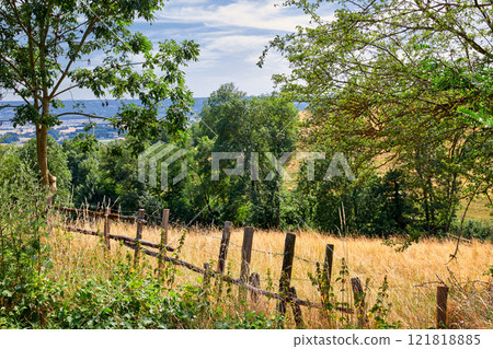 Farmland with a fence and a blue cloudy sky background. Landscape of a sustainable agriculture farm with hay like grass and trees in a green environment with a barb wire barrier in the countryside Farmland with a fence and a blue cloudy sky background. Landscape of a sustainable agriculture farm with hay like grass and trees in a green environment with a barb wire barrier in the countryside 121818885