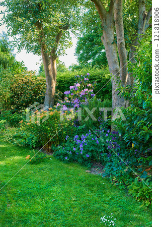 Vibrant garden with trees, flowers and lawn with green grass growing in a peaceful backyard. Beautiful flowering plants and bushes in nature. Serene beauty of outdoor landscaping in a park in summer 121818906