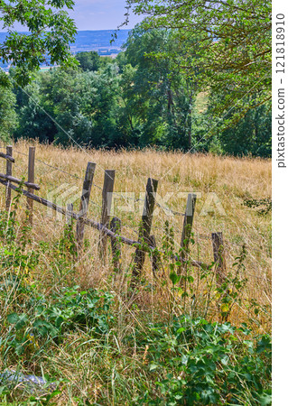 Landscape copyspace view of an empty and secluded farmland in the countryside with grass, trees, and greenery. Scenic view of a remote and deserted field in a natural environment in a rural area Landscape copyspace view of an empty and secluded farmland in the countryside with grass, trees, and greenery. Scenic view of a remote and deserted field in a natural environment in a rural area 121818910