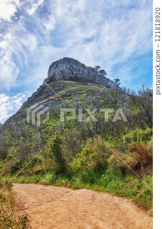 Walking or hiking pathway on a mountainside with green lush plants and flora. Zen nature landscape of rugged dirt trail for traveling at a national park in Cape Town with cloudy blue sky background 121818920