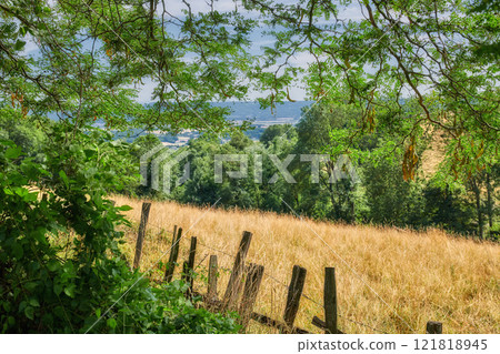 Overgrown farmland with a fence surrounding a field. Landscape of a sustainable agricultural farm with hay like grass and trees in a green environment with a barb wire barrier in the countryside Overgrown farmland with a fence surrounding a field. Landscape of a sustainable agricultural farm with hay like grass and trees in a green environment with a barb wire barrier in the countryside 121818945