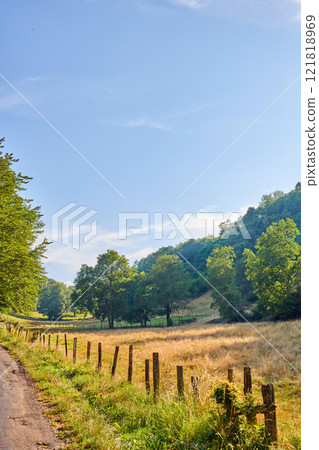Yellow wheat field near a dirt road and forest with a blue sky background and copy space. Cultivated farming land with dry grass pasture for growing crops. Natural countryside environment in spring Yellow wheat field near a dirt road and forest with a blue sky background and copy space. Cultivated farming land with dry grass pasture for growing crops. Natural countryside environment in spring 121818969