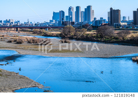 Tokyo cityscape, Japan, January 9th...View of tower apartment complexes in front of Musashi-Kosugi Station in Kawasaki, Tama River, waterfowl, etc. = Reiwa 7 121819148