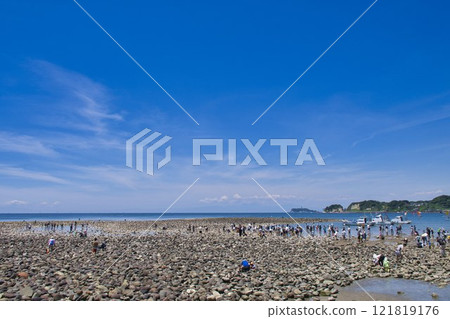[鎌倉市] 退潮時的瓦開島 121819176