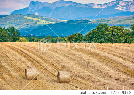 Round hay bales of straw rolled on agricultural farm pasture and grain estate after harvesting wheat, rye or barley. Landscape view of mountain background, forest and copy space of rural Lyon, France Round hay bales of straw rolled on agricultural farm pasture and grain estate after harvesting wheat, rye or barley. Landscape view of mountain background, forest and copy space of rural Lyon, France 121819330