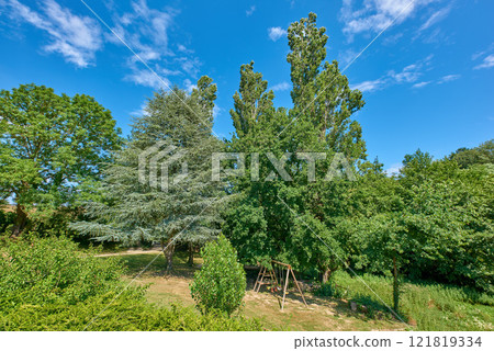 Beautiful green playground with lots of trees in summer on blue sky background. Dense and vibrant park for outdoor activities or fresh air. Different tree plants creating shade near a play ground Beautiful green playground with lots of trees in summer on blue sky background. Dense and vibrant park for outdoor activities or fresh air. Different tree plants creating shade near a play ground 121819334