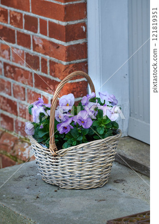 Purple and white johnny jump up flowers in wicker basket on home doorstep as a gift and present for valentines day, birthday or anniversary. Bunch of pansies from landscaped and horticulture backyard 121819351