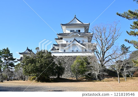 Iga Ueno Castle replica tower 121819546