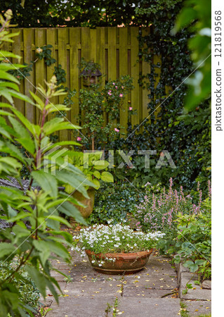 Potted plant pansies growing in a backyard or home garden in summer on a patio. Beautiful hybrid plant blooming in a yard during spring outdoors. Tiny flowering plants budding and blooming outside Potted plant pansies growing in a backyard or home garden in summer on a patio. Beautiful hybrid plant blooming in a yard during spring outdoors. Tiny flowering plants budding and blooming outside 121819568