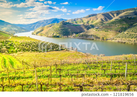 Douro wine valley Douro wine valley 121819656