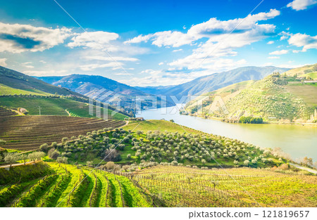 Douro wine valley 121819657