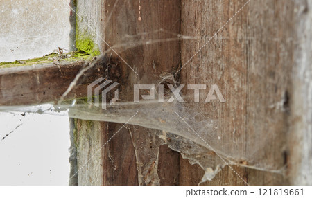 Spider web on an old dirty window in an abandoned home. Zoom in on wooden frame, texture and design of a messy timber wood styled window on a building with macro details of a dusty, mossy surface Spider web on an old dirty window in an abandoned home. Zoom in on wooden frame, texture and design of a messy timber wood styled window on a building with macro details of a dusty, mossy surface 121819661