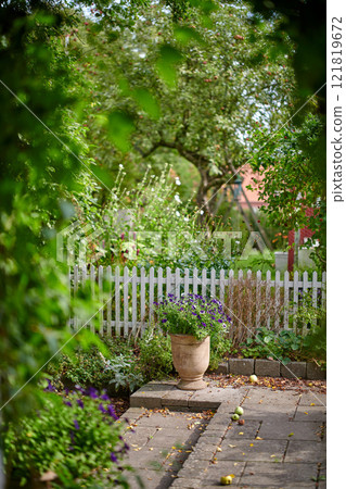 Flower pot with petunias growing near a white picket fence backyard or home garden in autumn on a patio. Beautiful flowering plant blooming in a yard outdoors. Lush plants and fallen leaves outside Flower pot with petunias growing near a white picket fence backyard or home garden in autumn on a patio. Beautiful flowering plant blooming in a yard outdoors. Lush plants and fallen leaves outside 121819672
