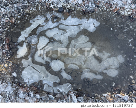 Winter - Frozen puddle 121819727