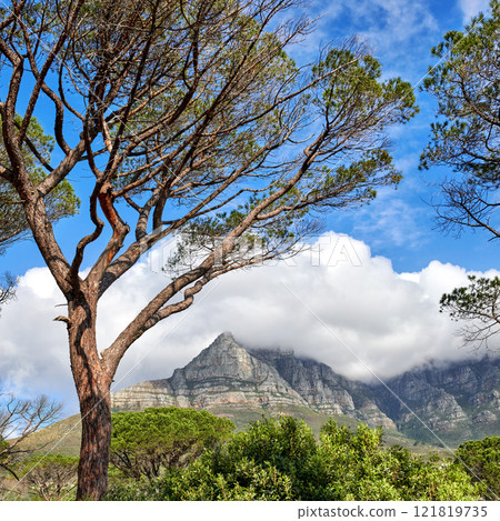Scenic landscape of Table Mountain in Cape Town, South Africa against cloudy blue sky copy space. Scenic view of plants and trees growing on a rocky hill and cliff in a natural organic environment Scenic landscape of Table Mountain in Cape Town, South Africa against cloudy blue sky copy space. Scenic view of plants and trees growing on a rocky hill and cliff in a natural organic environment 121819735