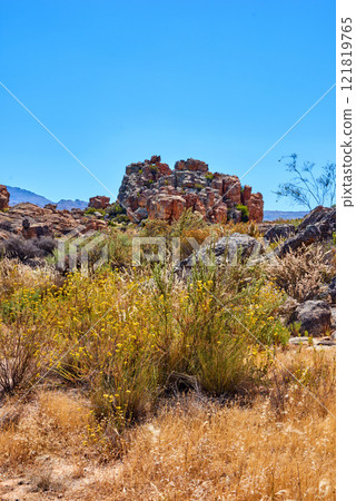 Large area of wilderness in forest landscape with calming fresh air, ecological life and harmony. Beautiful mountain peaks, green lush bushes and trees growing peacefully in Cape Town with copy space 121819765