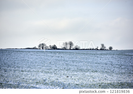 Snowy plowed field in a rural countryside in nature during chilly and cold weather. Winter landscape on a farm with silhouette of trees in a row against an overcast sky background with copy space Snowy plowed field in a rural countryside in nature during chilly and cold weather. Winter landscape on a farm with silhouette of trees in a row against an overcast sky background with copy space 121819836