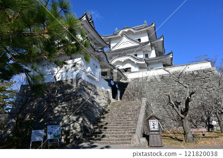 Iga Ueno Castle replica tower Iga Ueno Castle replica tower 121820038