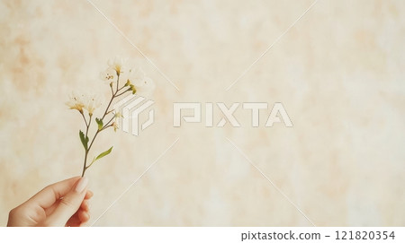 A delicate hand presents a single flower branch, symbolizing support for gender equality on International Women's Day 121820354