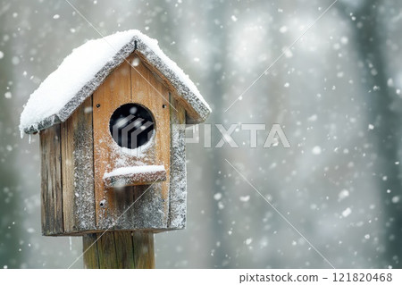 Snow is falling on a wooden birdhouse during a cold winter day 121820468