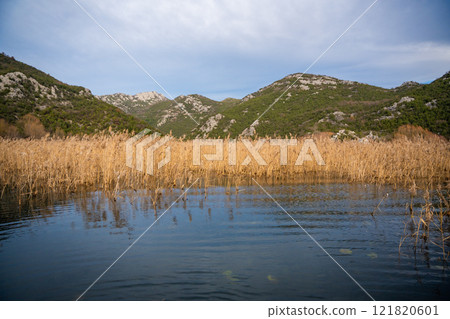 Trees and reeds on River Crnojevica, place near Lake Skadar in Montenegro surrounded by mountain peaks in winter time 121820601