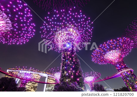 Low-angle view of the Supertree Grove at Gardens by the Bay in Singapore, there is an exhilarating light and musical show at night. 121820700