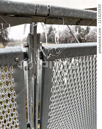 Frozen cobweb lace on a fence at the beginning of winter. 121820830