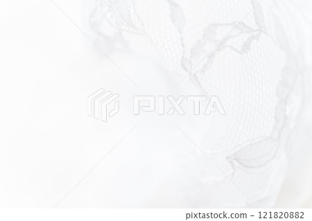 Lace/Beautiful background material Lace/Beautiful background material 121820882