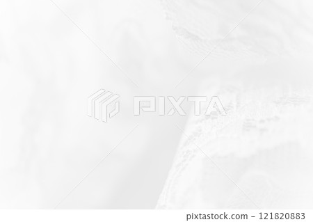 Lace/Beautiful background material Lace/Beautiful background material 121820883