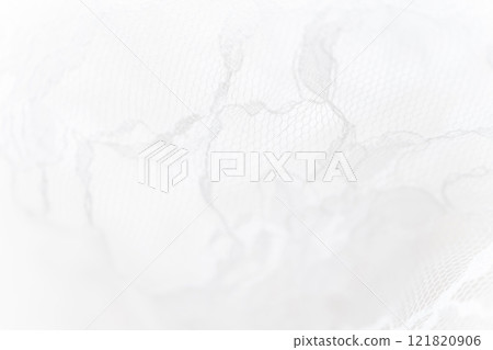 Lace/Beautiful background material 121820906